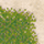 104/66